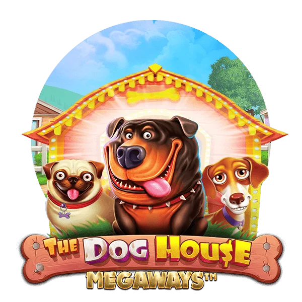 Dog House Megaways at Rainbet Casino